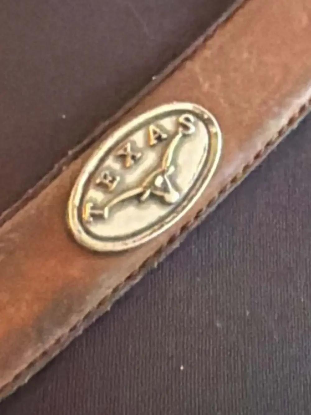 Vintage Brown Leather Western Belt with Texas Longhorn Conchos